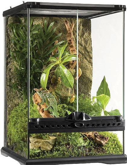 ������ (��� ������ ����� ) NATURAL TERRARIUM MINI TALL PT2602