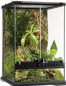 טרריום (בית זוחלים מתקדם ) NATURAL TERRARIUM MINI TALL PT2602 טרריום (בית זוחלים מתקדם ) NATURAL TERRARIUM MINI TALL PT2602