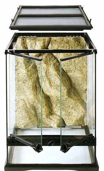 ������ (��� ������ ����� ) NATURAL TERRARIUM MINI TALL PT2602