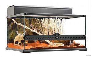טרריום (בית זוחלים מתקדם ) מדיום נמוך Natural Terrarium Medium Low ExoTerra טרריום (בית זוחלים מתקדם ) מדיום נמוך Natural Terrarium Medium Low ExoTerra
