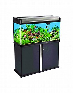 �������� BOYU EA 100E + �����(����)