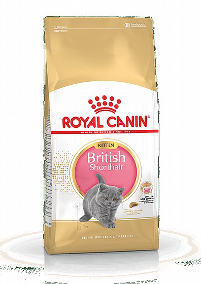Royal Canin British Shorthair Kitten 2kg
