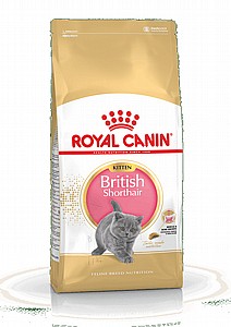 Royal Canin British Shorthair Kitten 2kg Royal Canin British Shorthair Kitten 2kg