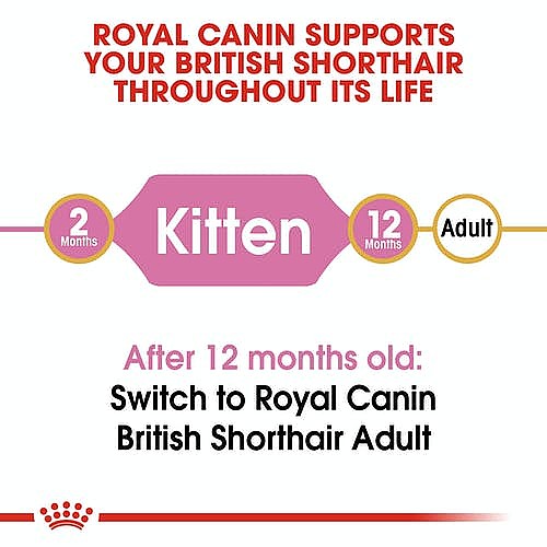 Royal Canin British Shorthair Kitten 2kg