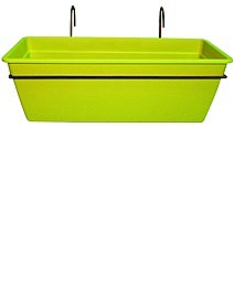 ��� ����� ��� �����