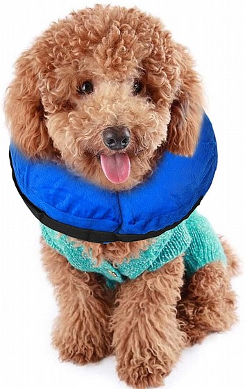 Kong Cloud Collar S ������� �� ����� 