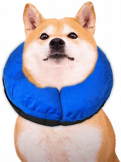 kong cloud collar petbarn