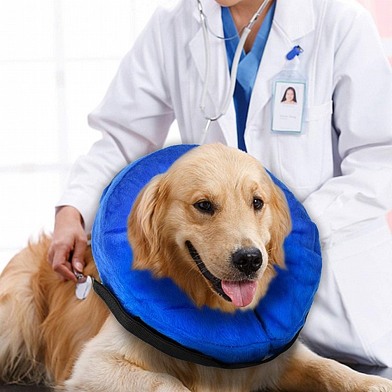 Kong Cloud Collar L ������� �� ����� 