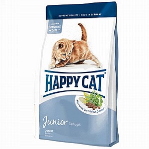  ��� �� ���� ��� 4 ���� ����� ������ Happy Cat 