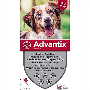 Advantix האמפולה לכלבים מ10 עד 25 ק"ג לטיפול בפרעושים, קרציות וטפילים חיצוניים Advantix האמפולה לכלבים מ10 עד 25 ק"ג לטיפול בפרעושים, קרציות וטפילים חיצוניים