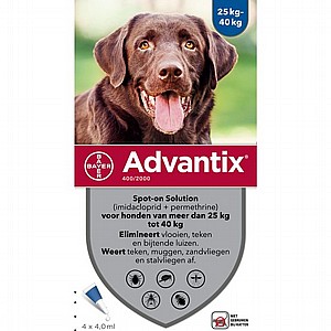 Advantix האמפולה לכלבים מעל 25 ק"ג לטיפול בפרעושים, קרציות וטפילים חיצוניים Advantix האמפולה לכלבים מעל 25 ק"ג לטיפול בפרעושים, קרציות וטפילים חיצוניים