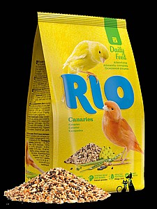 RIO ���� ��� ������ 1 �"�