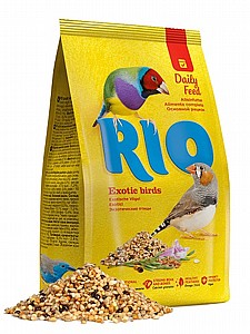 RIO ���� ��� �������  1 �"�