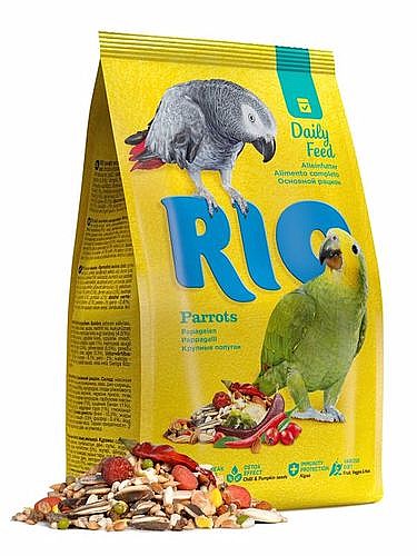   Rio  Daily Feed ���� ��� ������ ������ 3�"� 