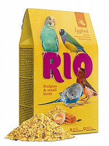 Rio ���� ����� 250��