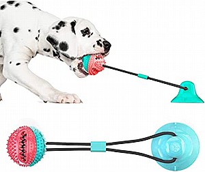 PETEX משחק חבל דנטלי לכלב בשילוב כדור גומי עם וואקום לרצפה| מידה M| דגם ER071 PETEX משחק חבל דנטלי לכלב בשילוב כדור גומי עם וואקום לרצפה| מידה M| דגם ER071