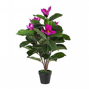 ��� ������� ������� ���� 72 �"�