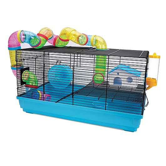 ���� ������ Living World ��� PLAYHOUSE 