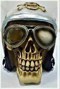 Skull Aquatic Creations Pilot  ������� ���������, ������ ���� CH 40135