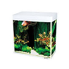 �������� BOYU MS 220