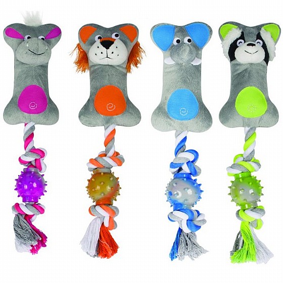 ����� ���� ��� �����