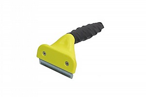 ����� ���� S