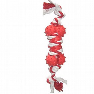 ��� ���� ������