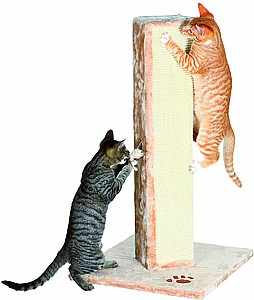 ���� ����� �������  ���� Soria ICAT