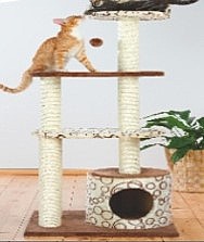 ����  ����� 4 ����� �� ��� ICAT