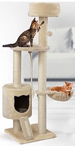���� ����� ������� 3 �����  �� �� ���� ICAT