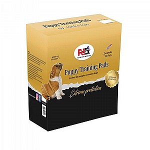 PETEX ���� ������ ����� ������ �� 100 ������ �� ��� ������ ������ ����� �� ����� �� ������ ������ ����� �� ���� �����