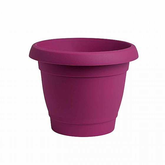 ���� ���� 33 �"�