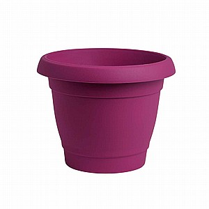 ���� ���� 33 �"�