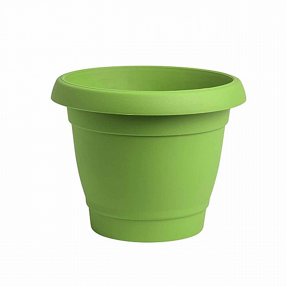 ���� ���� 33 �"�