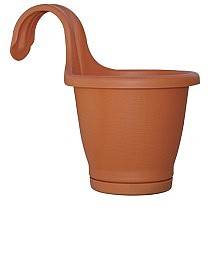 ���� ���� �� 