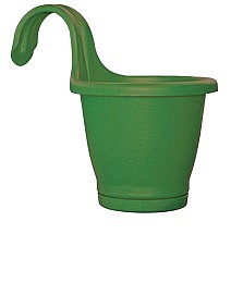 ���� ���� �� 