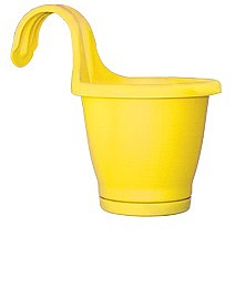 ���� ���� �� 