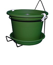 ��� ���� ��� ���� 