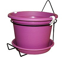 ��� ���� ��� ���� 