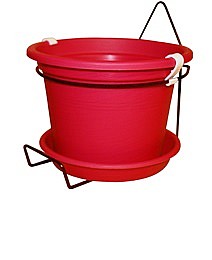 ��� ���� ��� ���� 