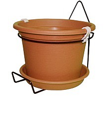 ��� ���� ��� ���� 