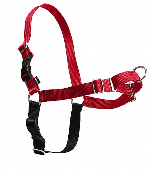 Easy Walk� Harness ����� ������ ���� M
