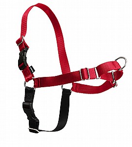 Easy Walk® Harness ריתמה לאילוף מידה M Easy Walk® Harness ריתמה לאילוף מידה M