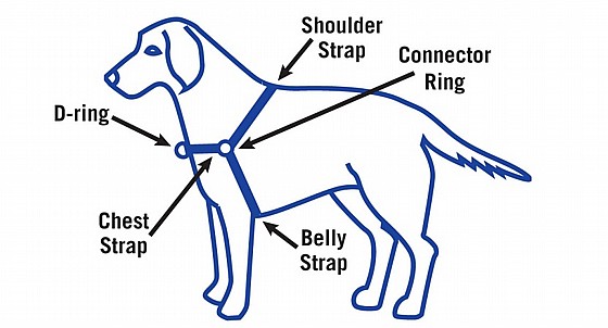 Easy Walk� Harness ����� ������ ���� M