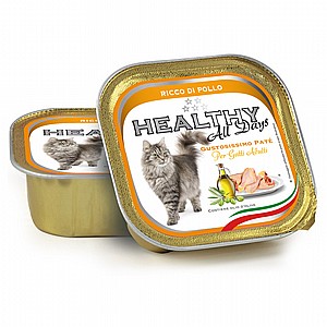 Healty Pate Rich in Chicken פטה עשיר בבשר עוף 100גר Healty Pate Rich in Chicken פטה עשיר בבשר עוף 100גר