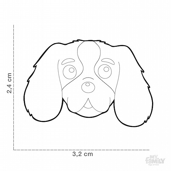 BLENHEIM CAVALIER KING