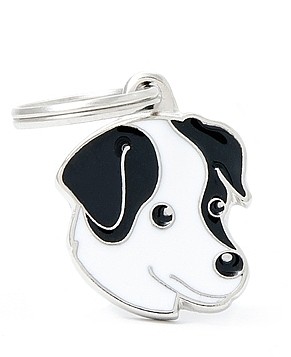 �� ���� JACK RUSSELL