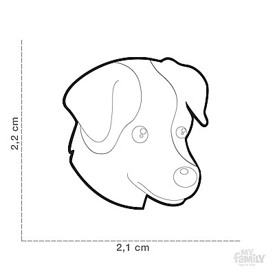 �� ���� JACK RUSSELL