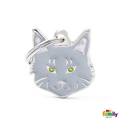 SILVER MAINE COON CAT
