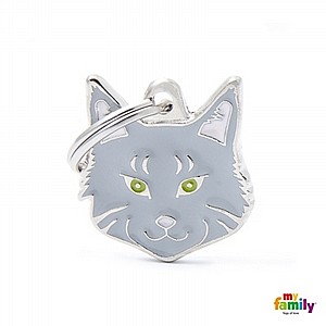 SILVER MAINE COON CAT